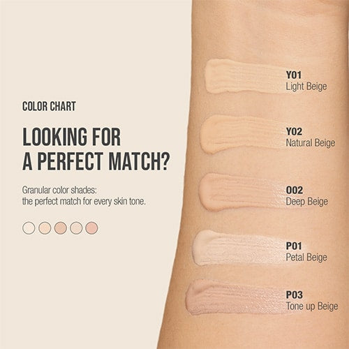 TFIT IDOL COVER CONCEALER 5 COLORS